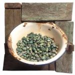 Eda Mihovilić, Extra vergine