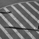 Aleksandar Tomulić - Man and dog