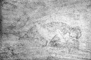 S izložbe „Jedno“ - Višnja Laginja