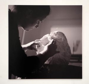 Izložba novoprimljenih članova HDLUR - foto Istog Duško Žorž