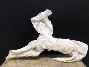 Zvonimir Kamenar - Funči