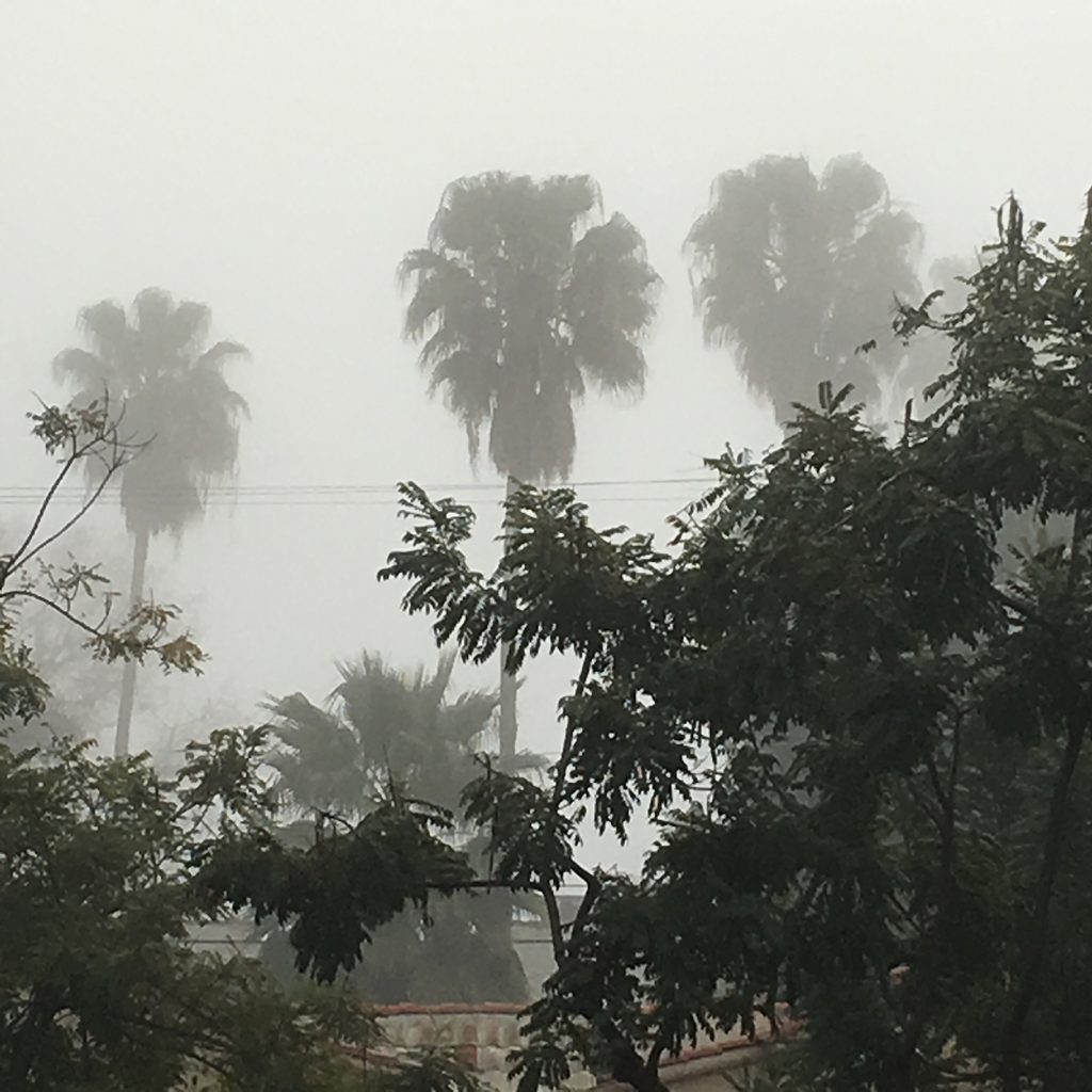 Lina Bussov - Foggy day in my Street