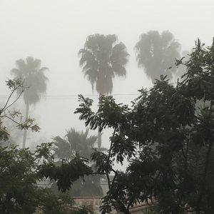 Lina Bussov - Foggy day in my Street
