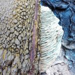 Sandra Ban 2021. Artwork detail