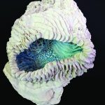 Sandra Ban Subsound duet 2021. detail