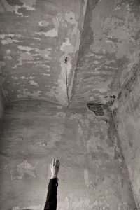 Ivica Nikolac - Metamorfoza - slika sna