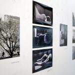 Izložba Monokromije