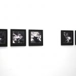 Među nama – Izložba Ivane Bajcer, Nine Lekić, Nine Licul i Dajane Radoš