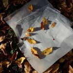 Melita Sorola Staničić Pisma