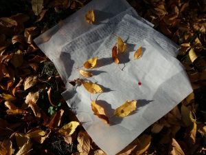 Melita Sorola Staničić Pisma