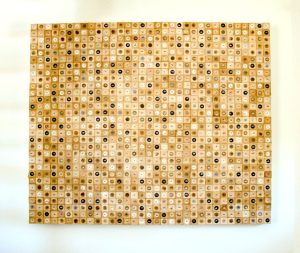 Cetina Barbara Drosophilamelanogaster