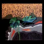 Dražen Filipović Pegla