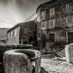 Miljenko Šegulja