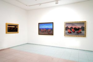 Samostalna izložba Željka Seleša