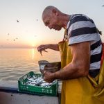 Ivan Kosić Vrijeme mora