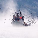 Ivan Kosić Vrijeme mora