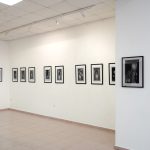 Forma odslikavanja Fanita Barčot-Nikolac i Milena Milenković