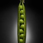 Igor Gaidai, aus der Serie Früchte der Erde