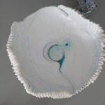 Sandra-Ban Izložba Molekular