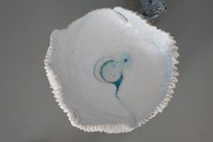 Sandra-Ban Izložba Molekular