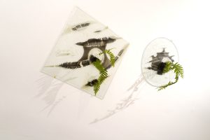 Izložba iz ciklusa Dijalog na kvadrat – Ekologija kroz medije stakla i slikarstva, Kristina Čehulić, Tereza Vukić, Nora Xharrahi i Matea Zeman (