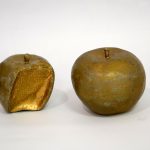 Emil Mandarić Brailleov zagriz