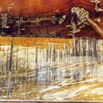 Željko Kranjčević Winter - Pronađeni pejzaži (