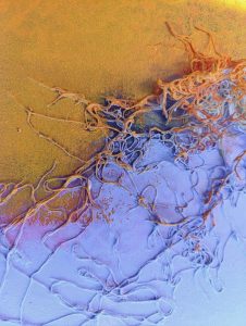 Marija Volkmer - Tijelo, sjena, prostor